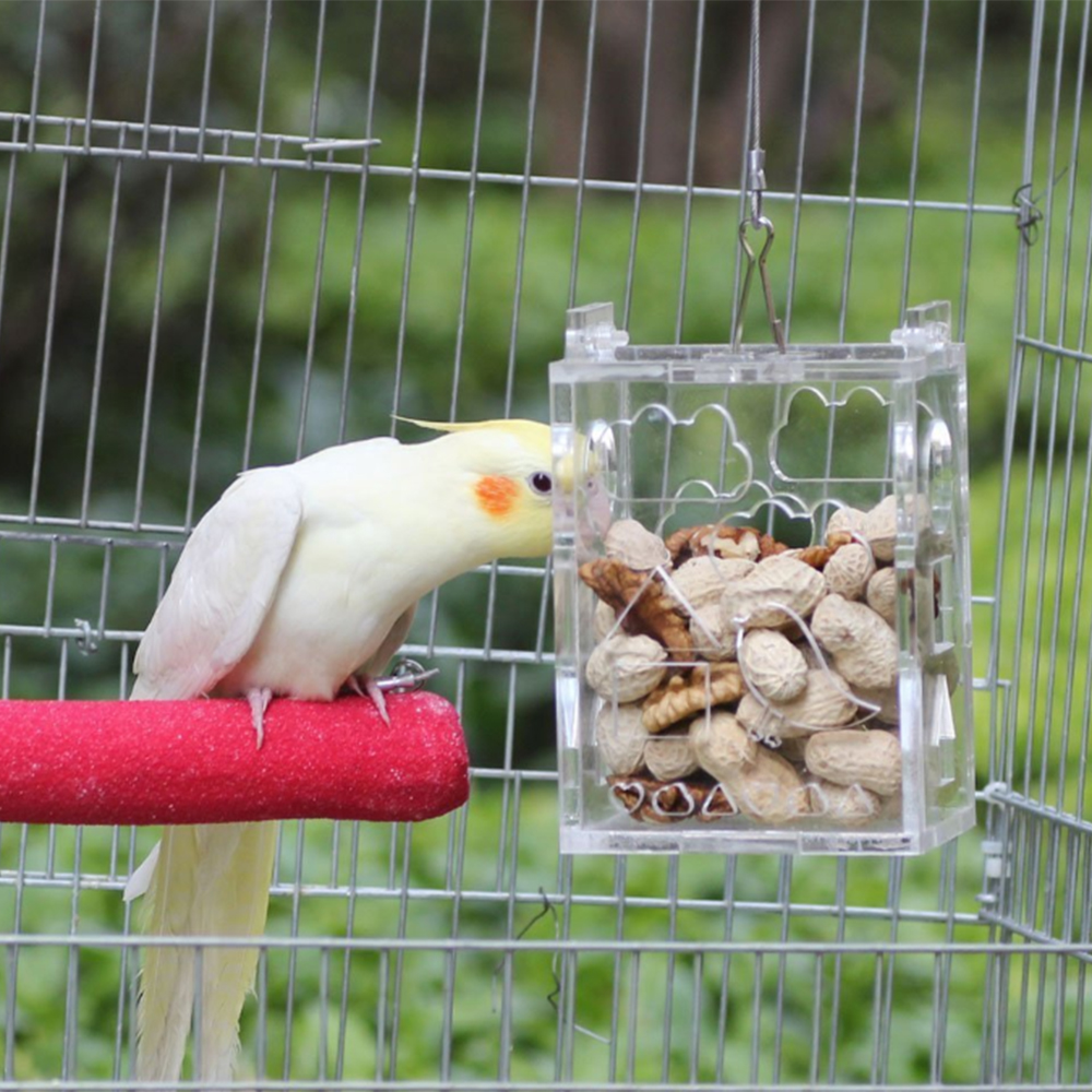 Papegøje fodring kasse sjov gennemsigtig akryl fugl papegøje hængende foder fodring fodring kasse pædagogisk legetøj til parakit