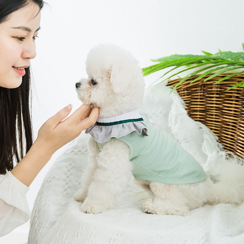 T-shirt pet Clothing dogs Cartoon vest dog Clothes small Costume Breathable French Bulldog cute summer green boy collar perro