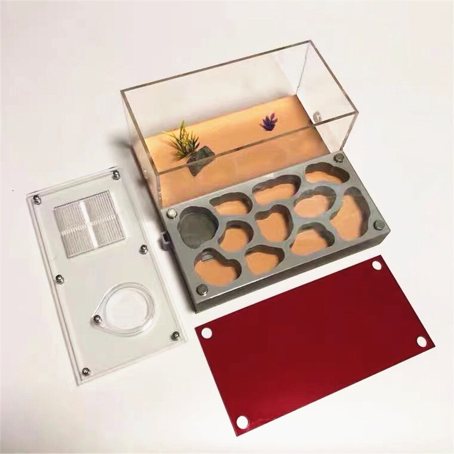 3D Acryl Flat Ant Farm Ecological Ant Nest with Feeding Area Concrete Ant House Pet Anthill Workshop Moisturizing Water Pool
