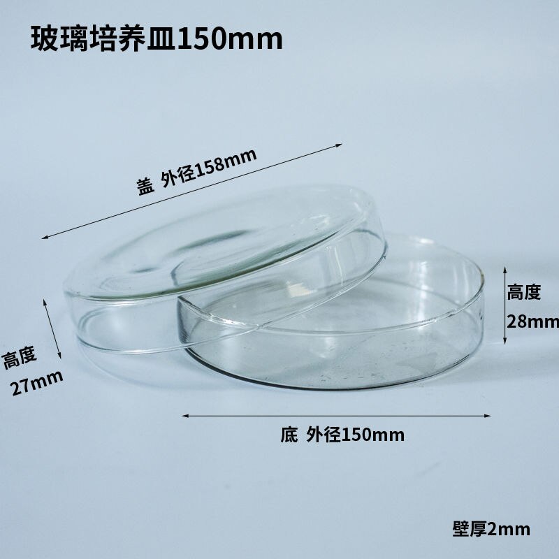 Glass Petri Dishes,60/75/ 90 /100/ 120mm,Experimental Cell Bacterial Culture Dishes,Glass Plates,Experimental Equipment