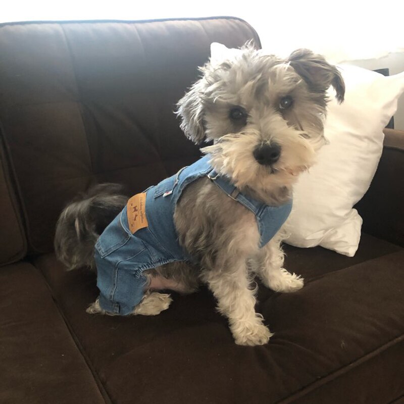 Siniset farkut koiran vaatteet haalarit haalari lemmikeille takki asu pienille koirille kissat puku yorkshire ropa para perros cachorro