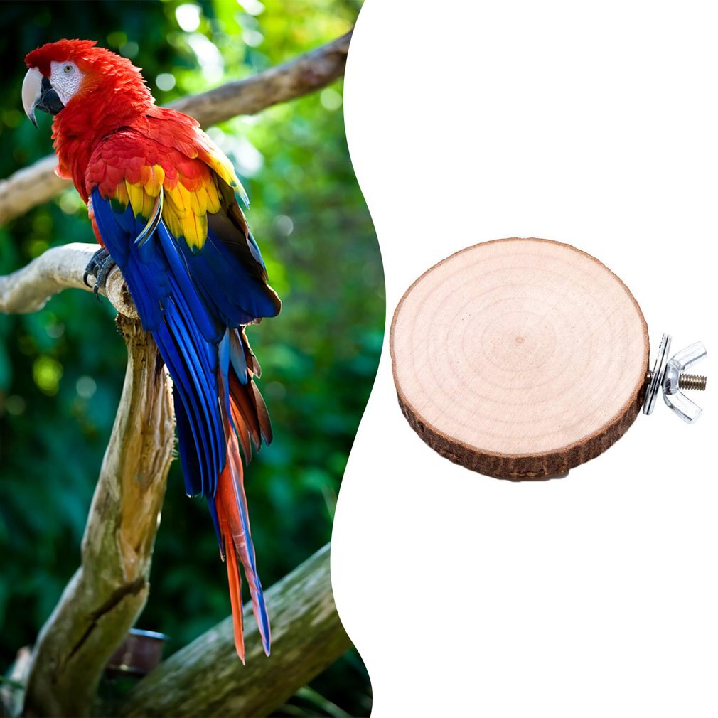 Nueva Diagonal corte de madera muelle trampolín soportes para loros de la protección del medio ambiente Natural duradera muelle de madera