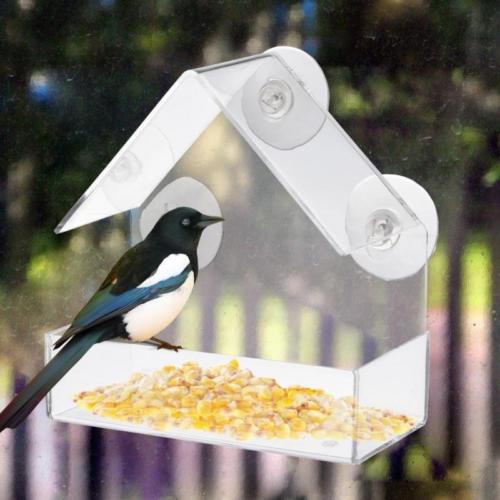 Acrylic Transparent Bird Squirrel Feeder Tray Birdhouse Window Suction Cup Tools: Default Title