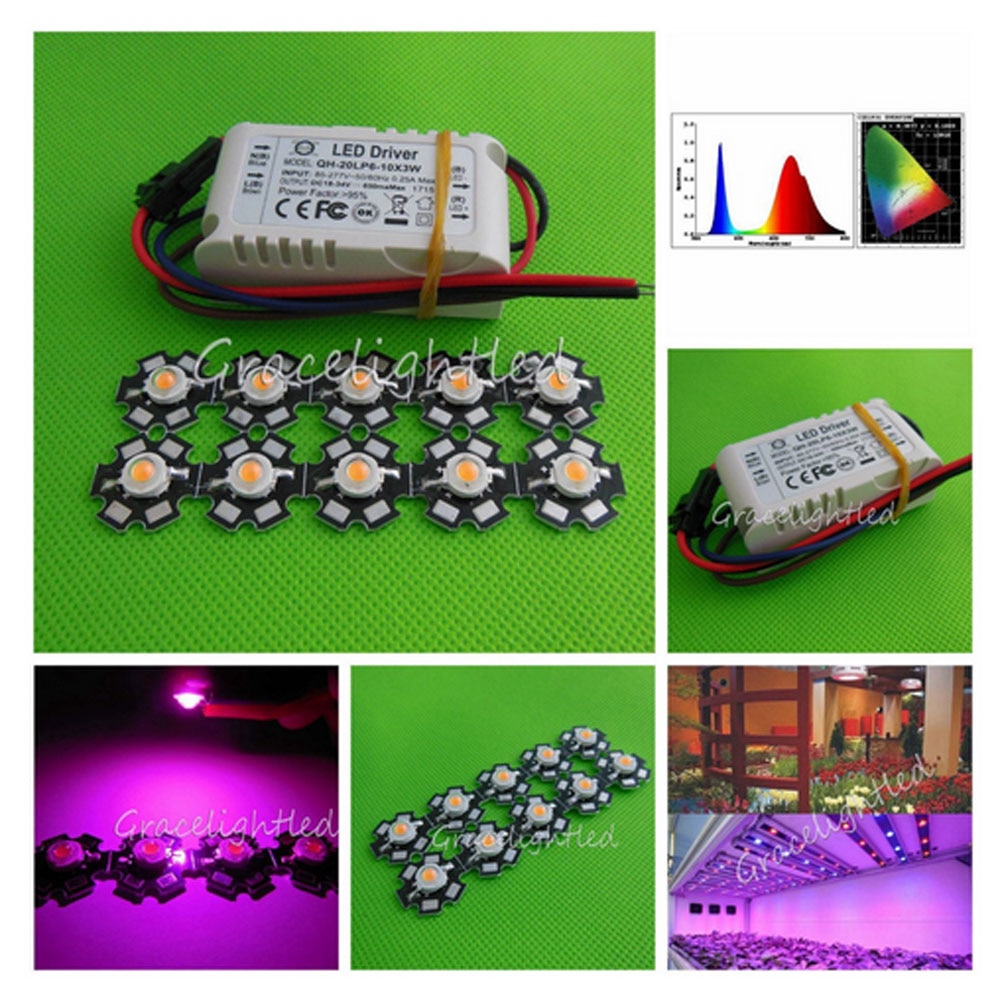 10 stks 3 w volledige spectrum led 380-840nm + 1 stks 6-10x3w 600ma led driver diy 30 w led grow licht voor planten lamp