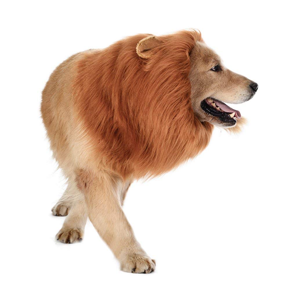 Hond Leeuw Manen-Realistische & Grappige Leeuw Manen Voor Honden-Complementaire Leeuw Manen Voor Hond Kostuums-Leeuw pruik Voor Middelgrote Tot Grote