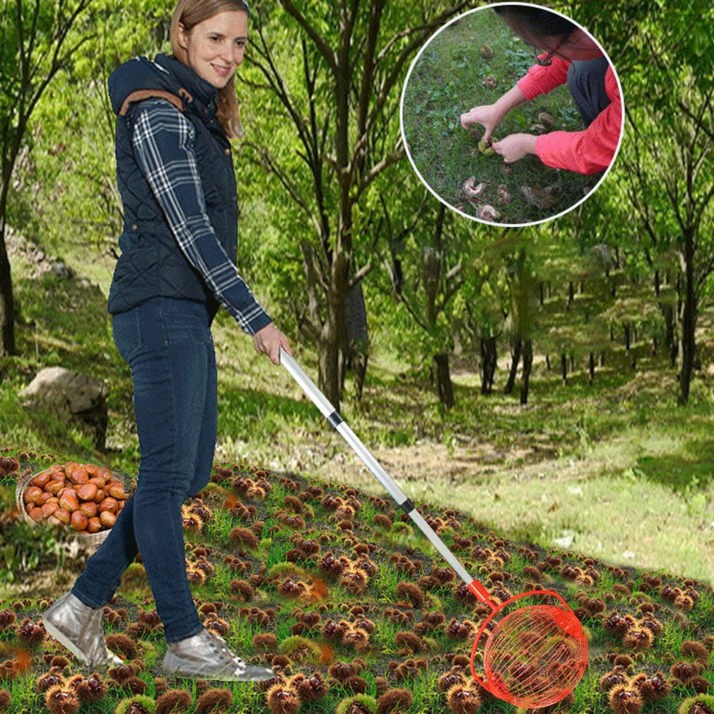 Nueces castañas cosechadora rodillo tuerca colector retráctil aleación de aluminio bola jardín fruta Picker familia huerto herramienta