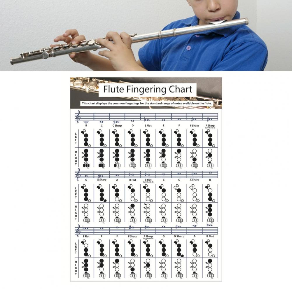 Guitar Flute Chord Fingering Chart Flute Practice Comparison Chart for Beginners Practicing Accessories