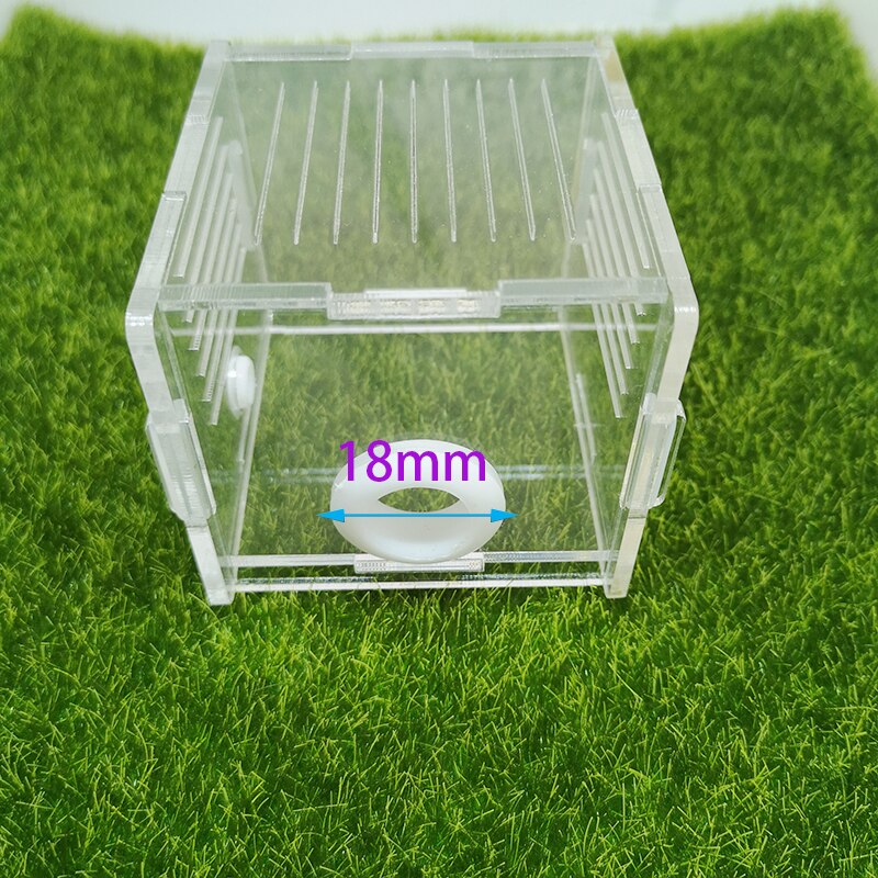 Acrylic Ant Nest Square Ant Farm Activity Area Climbing Pet Breeding Ornamental Box Ant Colony Breeding Box Diameter 18mm: Default Title