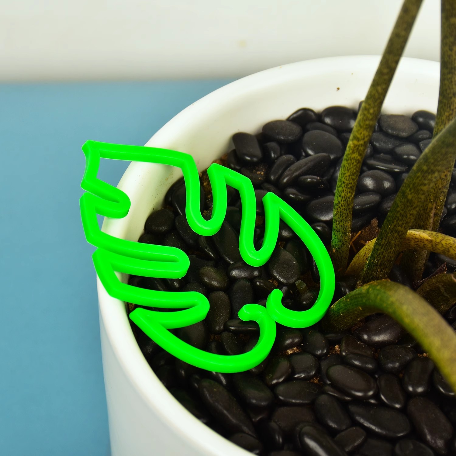 Estacas de soporte para tallo de planta de hoja, soporte para planta de interior trepadora, marco de plástico para jardín, sin estaca, enrejado, soporte para plantas de interior, aros