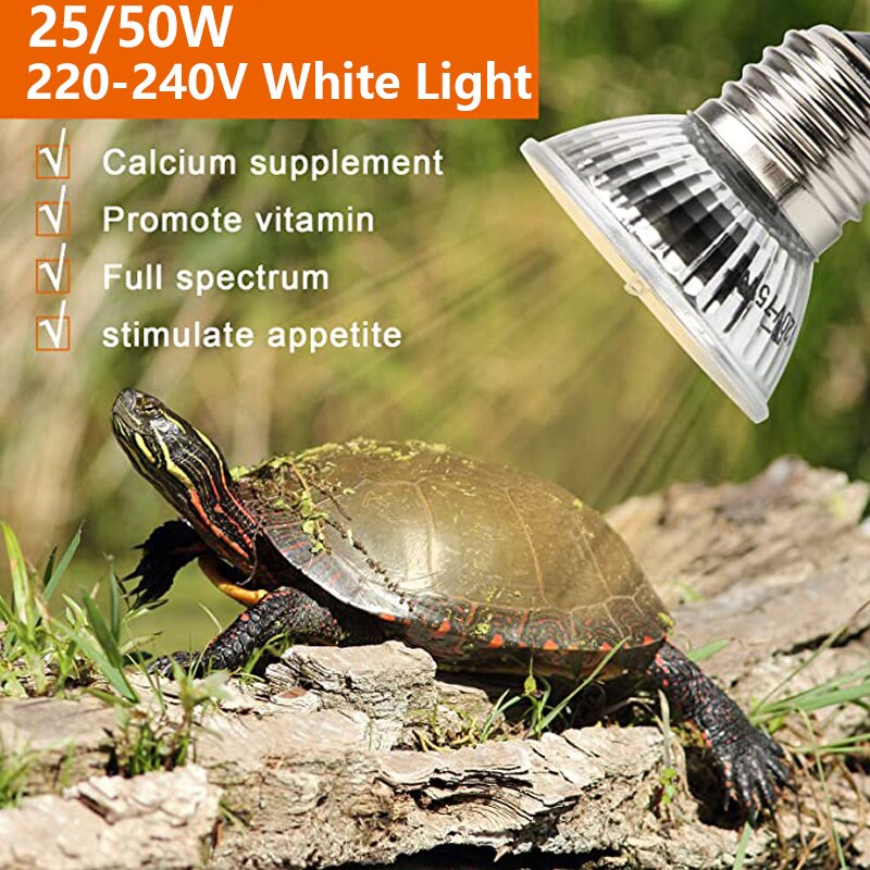 BENE Reptil Voll Spektrum Lampe Terrarium Heizung Birne für Grübler, Schildkröte Eidechse Chamäleon bärtig Drachen Amphibien Terrarium