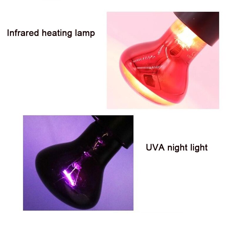 Lámpara calefactora para reptiles, luz roja cálida de noche, aislamiento térmico para lagartos, tortugas, iluminación de animales