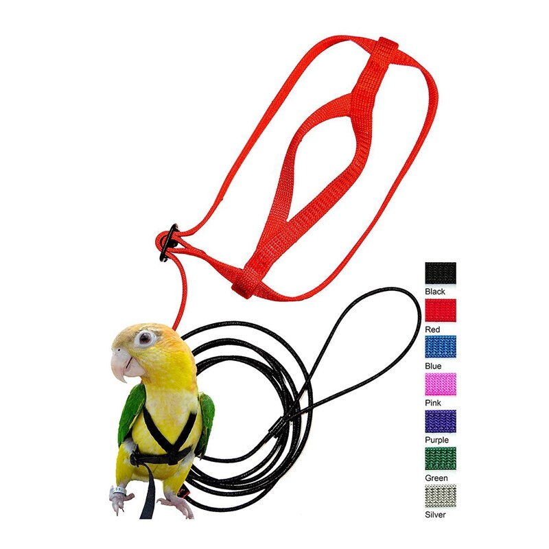 Meilleur 2x harnais et laisse pour oiseaux de compagnie, laisse de harnais pour oiseaux perroquet réglable-harnais et laisse de corde d'entraînement Anti-morsure pour animaux de compagnie (XS & P)