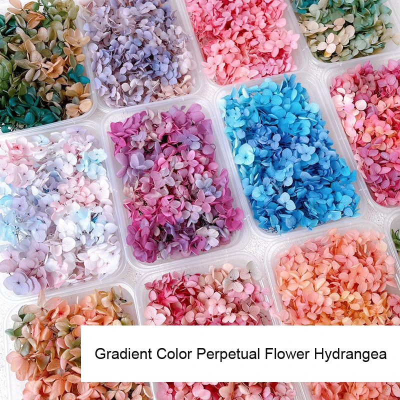 Décalcomanies de fleurs séchées 3D pour Nail Art, autocollants floraux naturels, conceptions de fleurs sèches pour N64.Crafts, accessoires de manucure bricolage