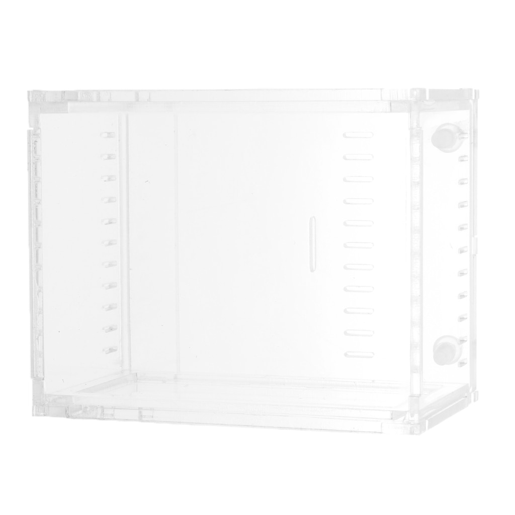 Reptile Terrarium Amphibian Habitat for Mini Pet Houses Acrylic Box Clear