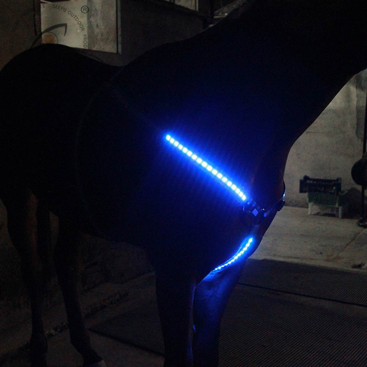 3 farver sikkerhedsflashtilstande justerbar hestebrystskrave krave bedste høj synlighed tack lysende hestebrystbælte: Blå