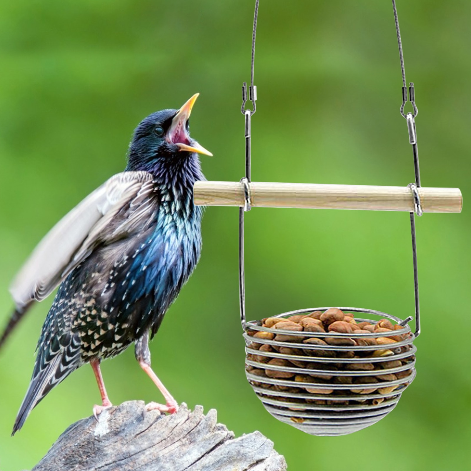 Wild Birds Hanging Feed Holder Outdoor Bird Feeder Pet Parrot Food Feeding Durable Practical Pets Container Hanger Feeding Tool