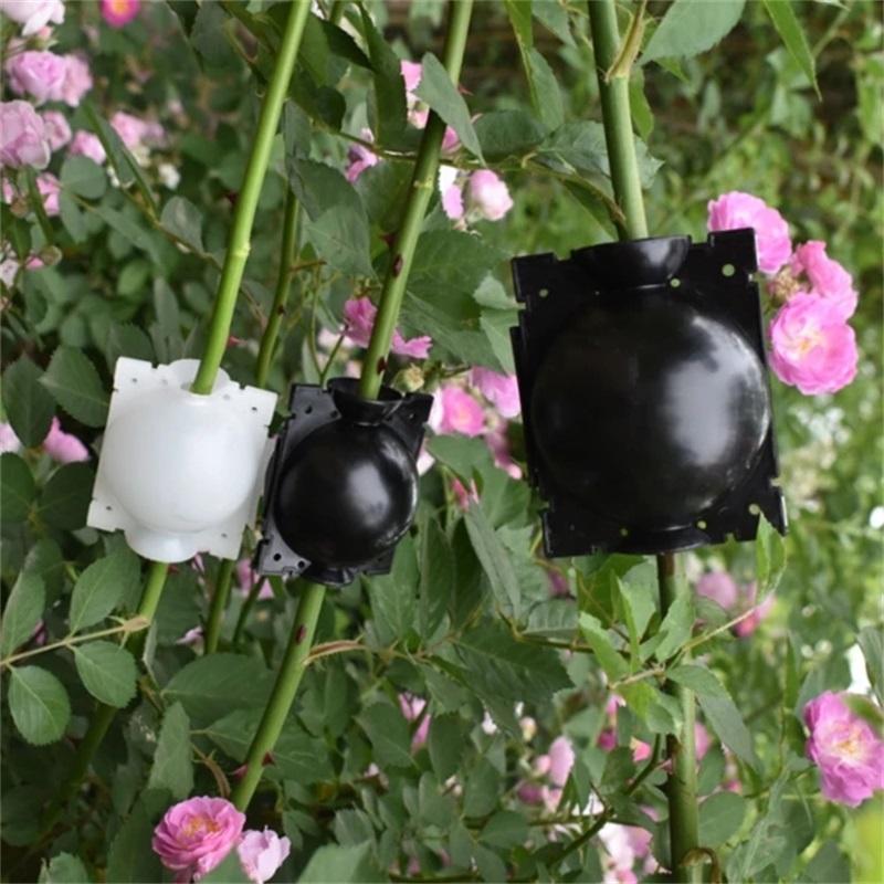 3 Sizes Plant Root Growth Box Ball Grafting Rooting Growing Box Breeding seeding Case Container Nursery Box Garden Seeds Root