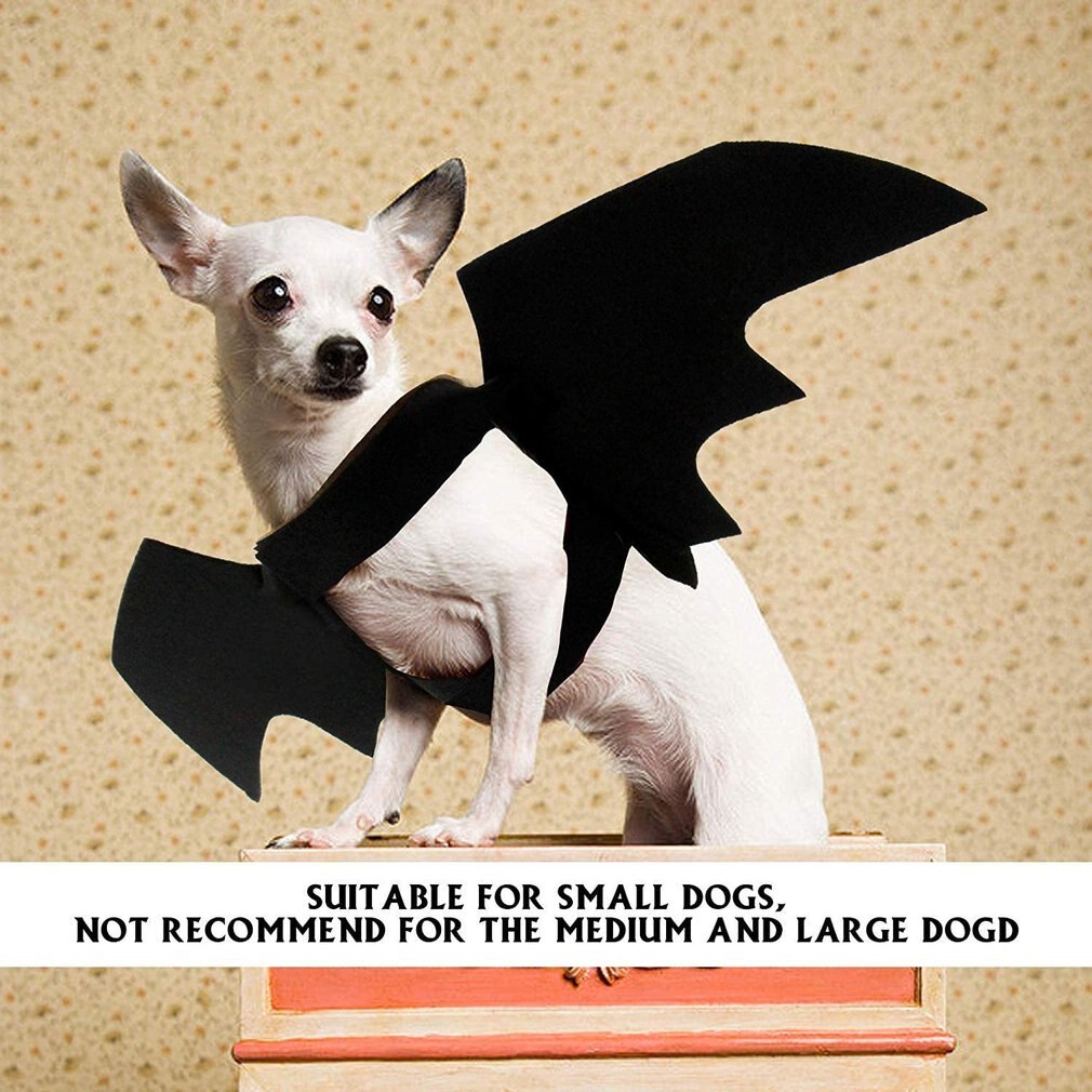 Pet Bat Wings Costume Kitten Puppy Halloween Party Cosplay Clothes With Cute Pumpkins Bells Pet Photo Props Accessories