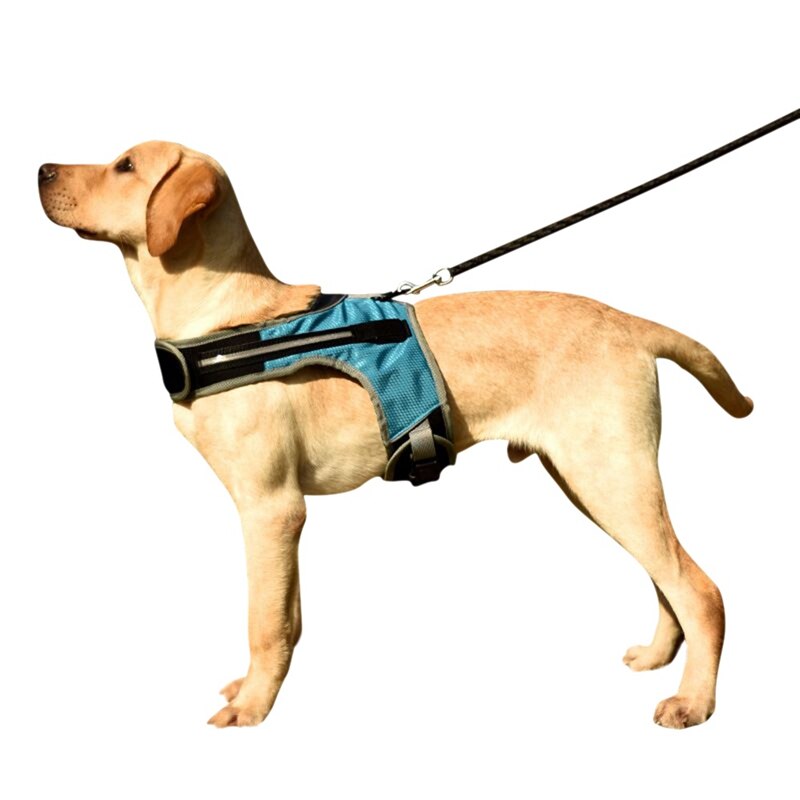 Pet Safety LED Harness Dog Luminous Light Harness LED Dog Harness Leash Rope Belt LED Dog Collar Vest Pet Supplies-: Blue / S