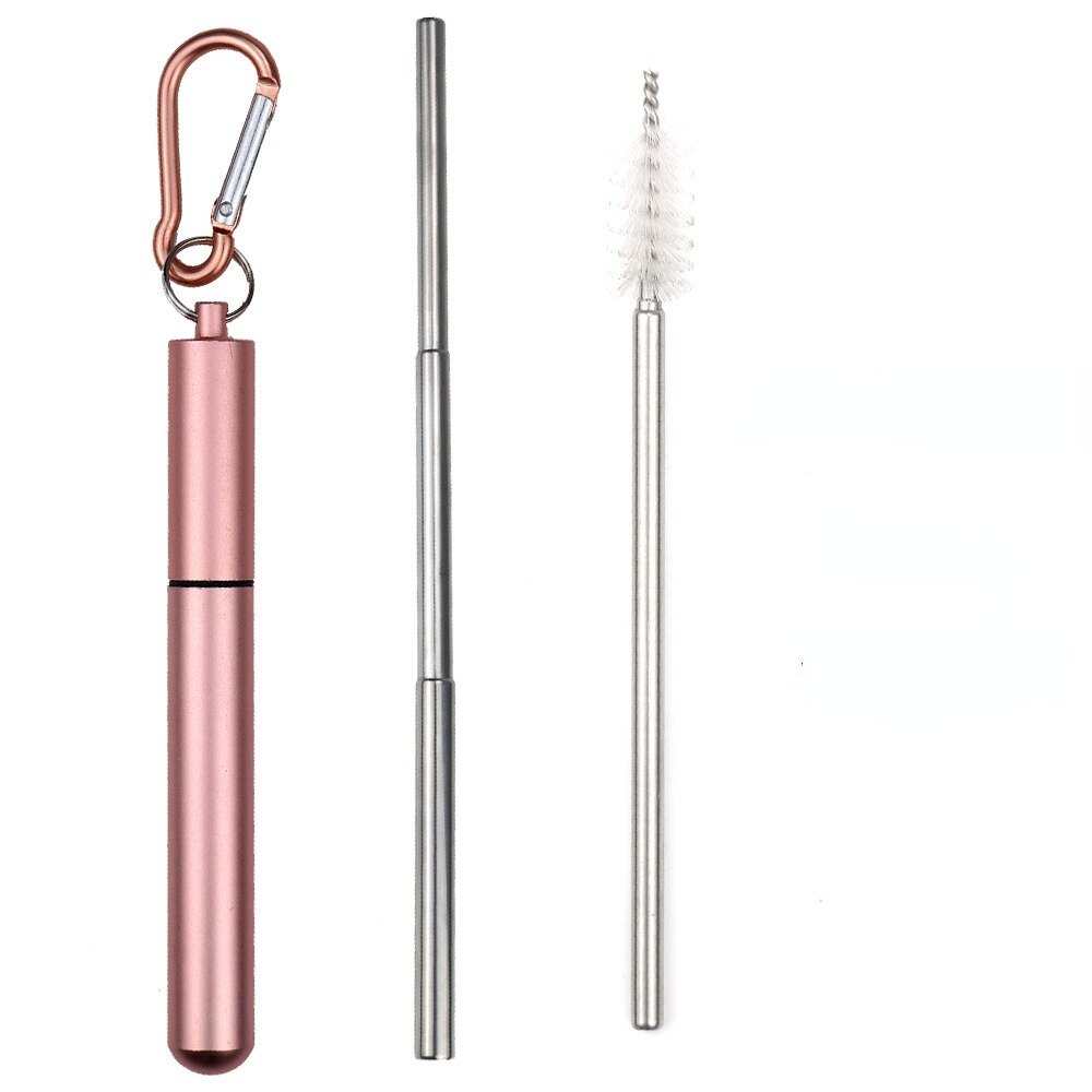 304 Stainless Steel Telescopic Straw Travel Reusable Portable Foldable Metal Beverage Milk Tea Straw: 9