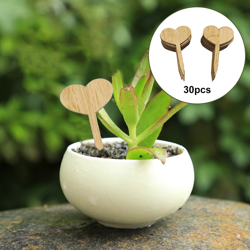 Etichette Per Piante Riutilizzabili - 100 Pezzi Con Pennarello, Per Orto, Giardino E Vasi - Foto 10