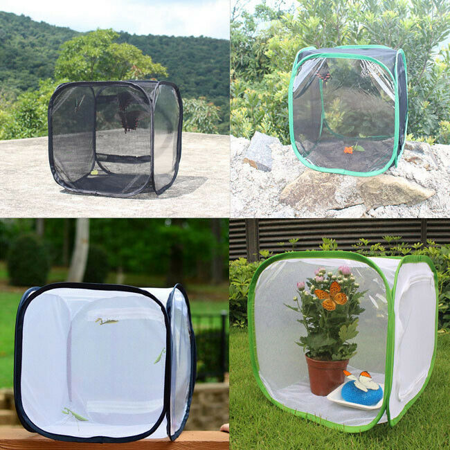 Insect Cage Foldable Butterfly Habitat Mesh Transparent Surface Portable Zipper Insect Supplies Boxes