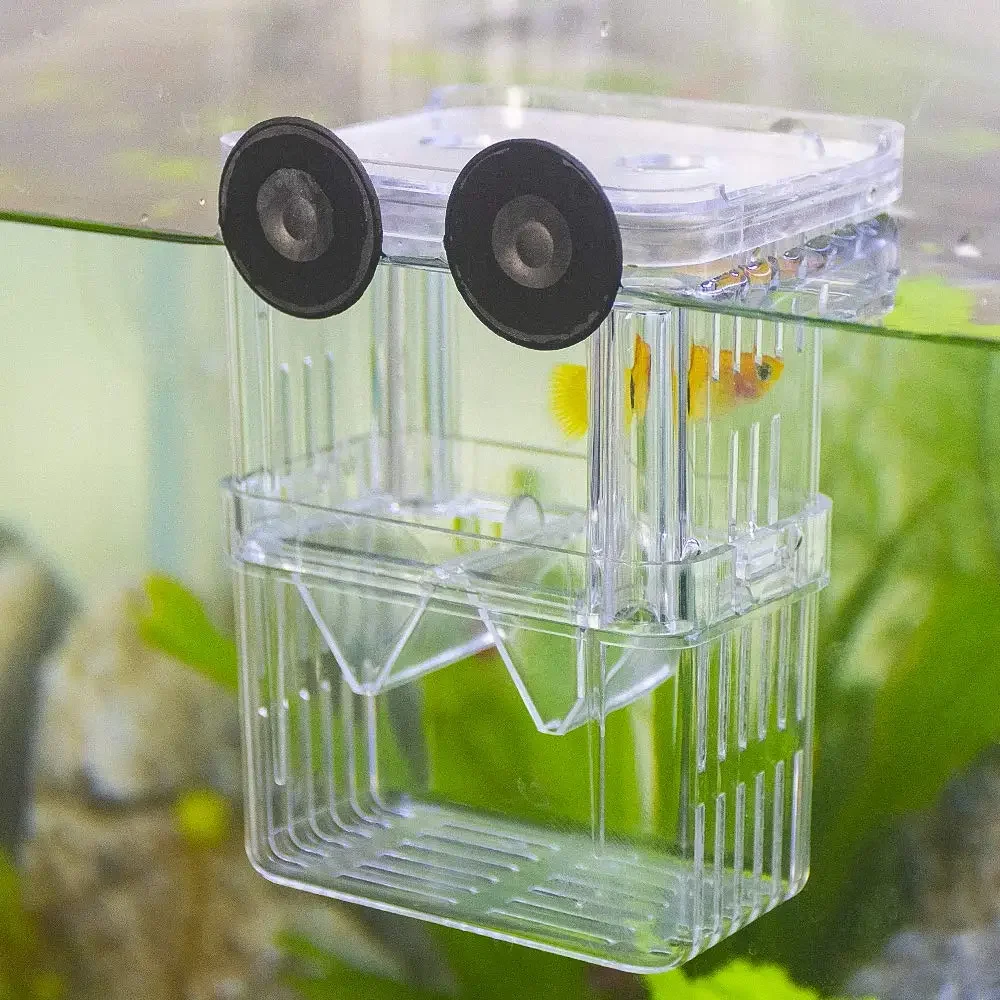 Caixa de criação de aquários de peixes, durável, betta, caixa de isolamento de criação de tanque de peixes, incubadora de incubação para bebês, peixes, camarão