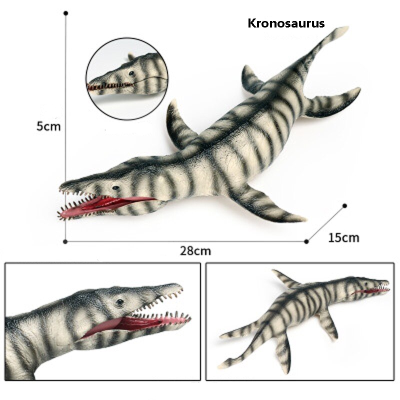 Grande vendita singola giocattoli educativi modello marino antitorico dinosauro marino pesce di Deng plesiosauro modello animale giocattoli: 13