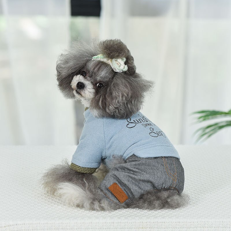 Varma hundkläder höst och vinter hunddräkter husdjur vinter fyrbenta kläder ropa para perro jumpsuits för hundar: Blå / Xl