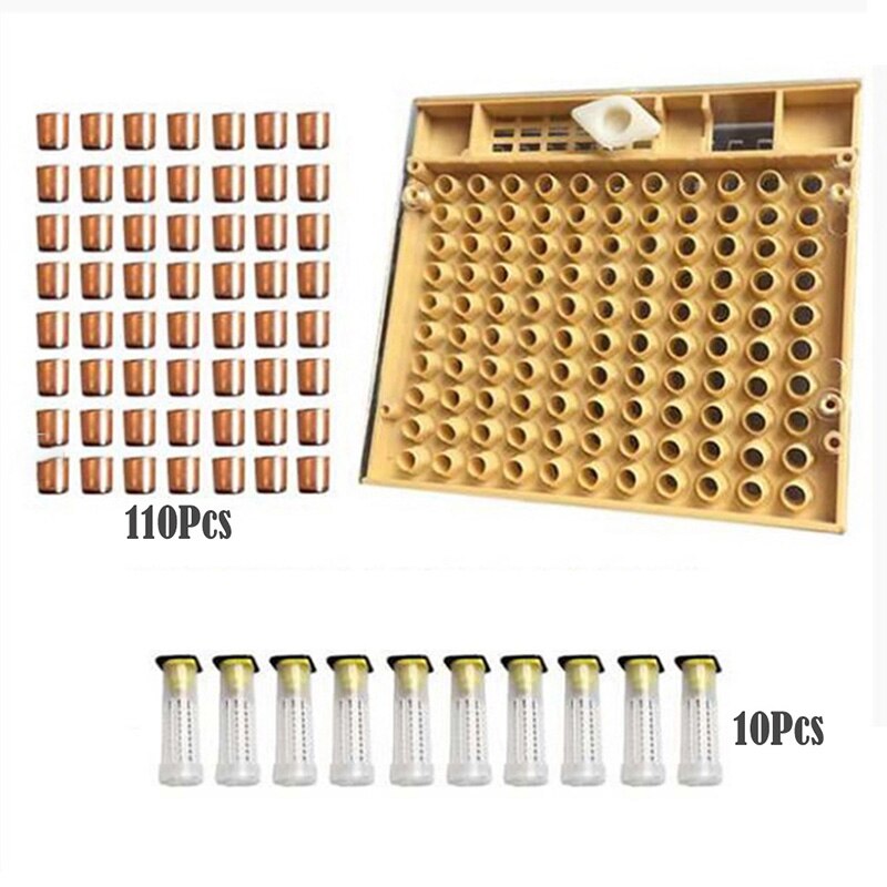 Beekeeping Tools Set Rearing System Cultivating Box 110pcs Plastic Cups Bee Nicot Complete Catcher Cage Beekeeping Tools: G258013A