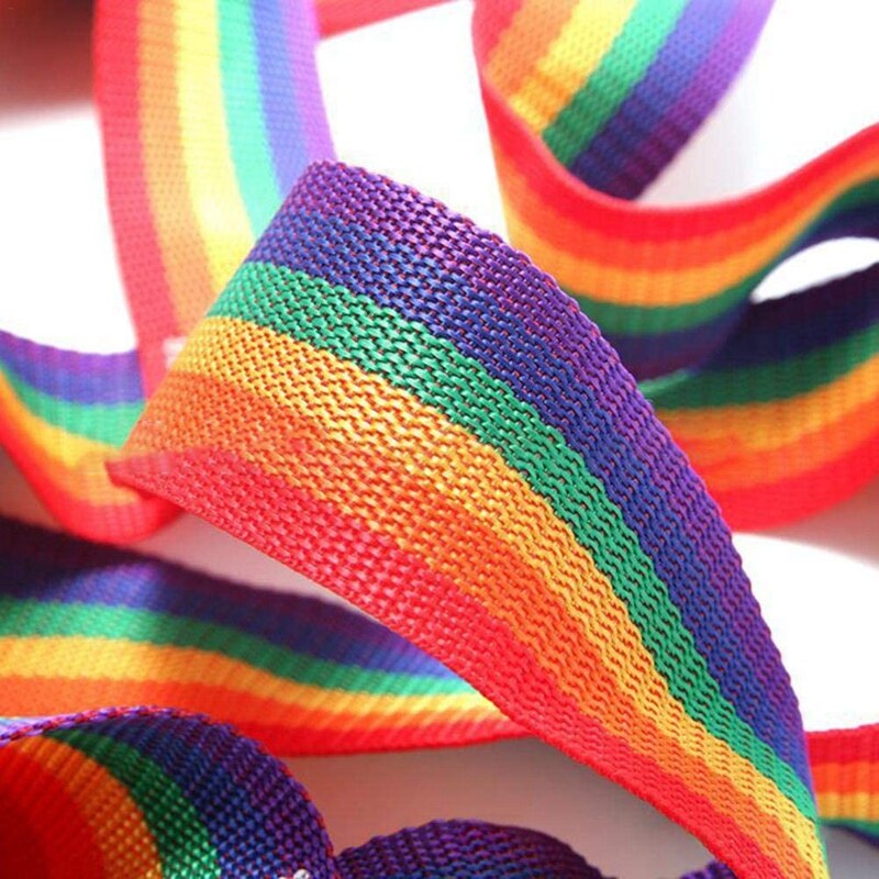 Climbing Net Outdoor Rainbow Belt Net Physical Exercise Training Net-Children's Daily Sports Competitive Play Entertainment Nets