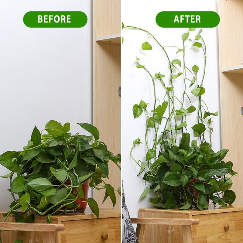 20 stk usynlig væg vinstokke armatur rattan klemme klip væg klæbrig krog klatre vin plante fixer haveindretning holder plante stent