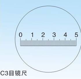 Diameter 19mm Microscope Slides Reticle Calibrating Slide Ruler Microscope Calibration Ruler Stage Micrometer