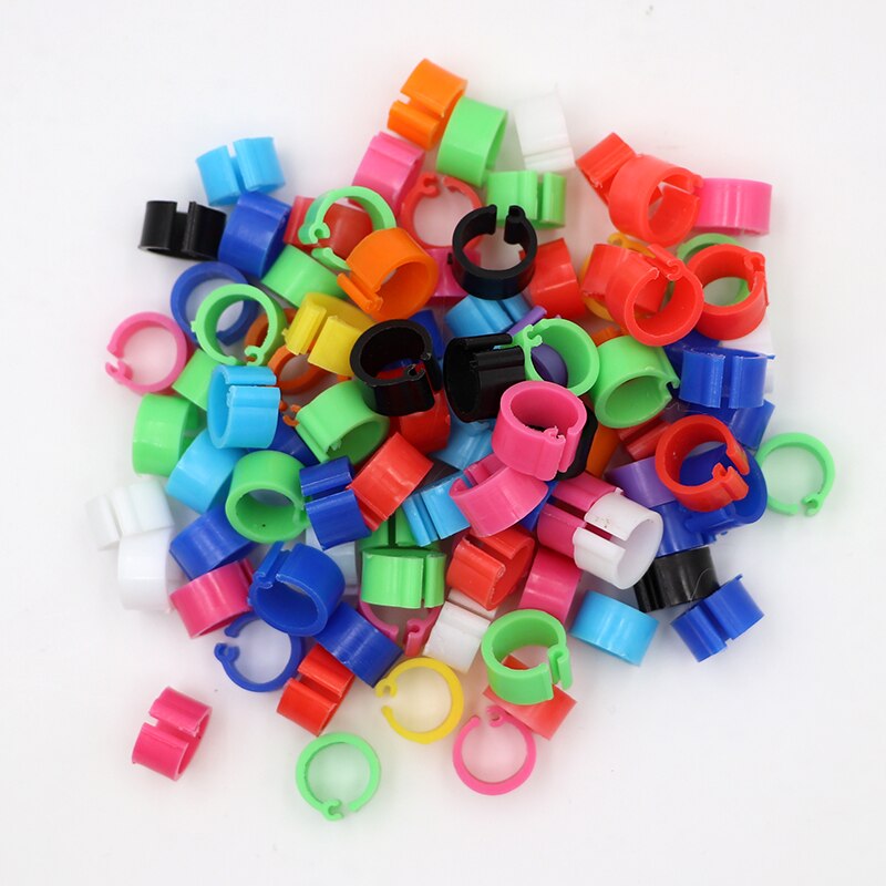 Anillos de plástico para pies de palomas y codorniz, suministros para aves pequeñas, 10 colores, piezas, 100: Blanco