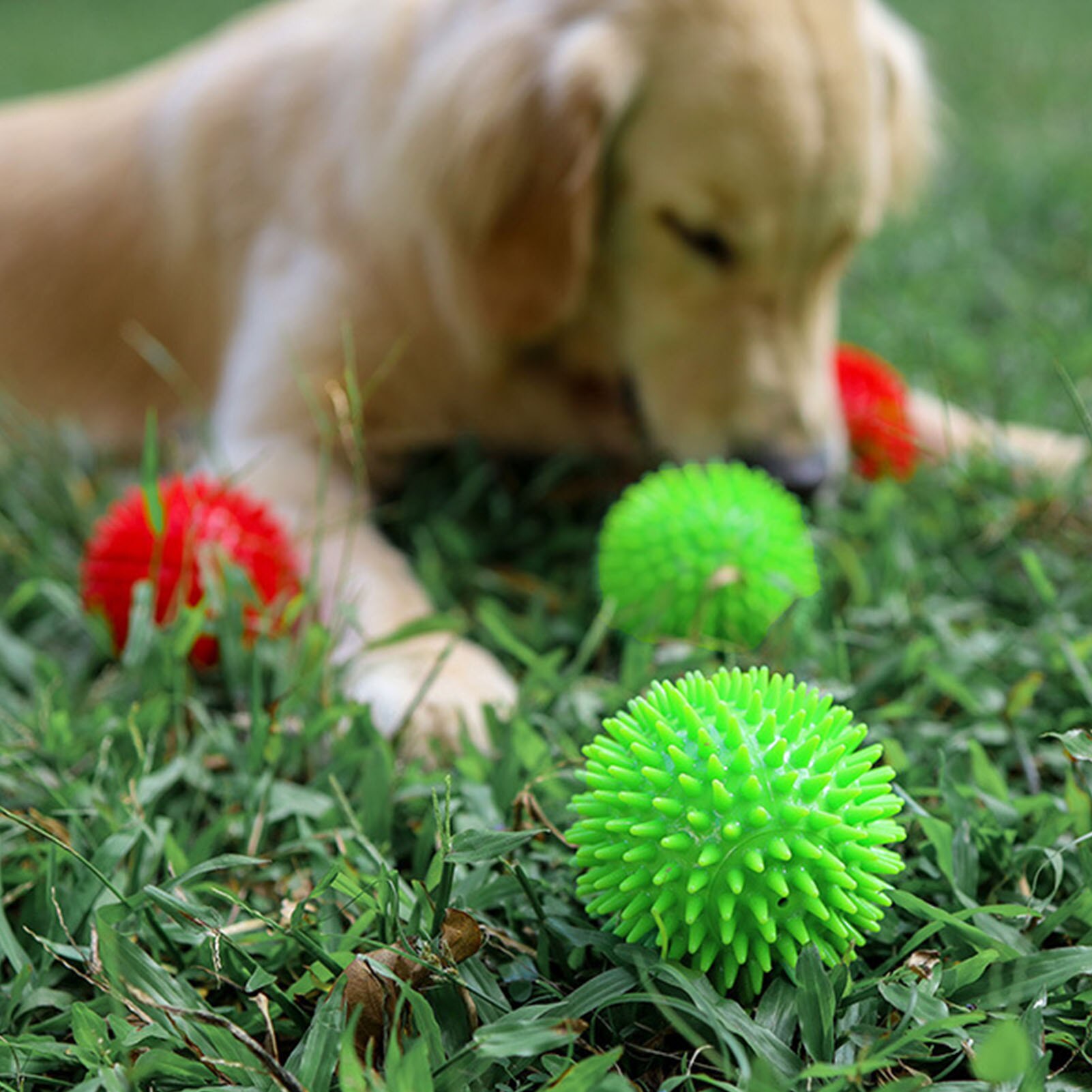 Dog Squeaky Ball Pet Spike Ball Fetch Chewing Ball Teething Toy