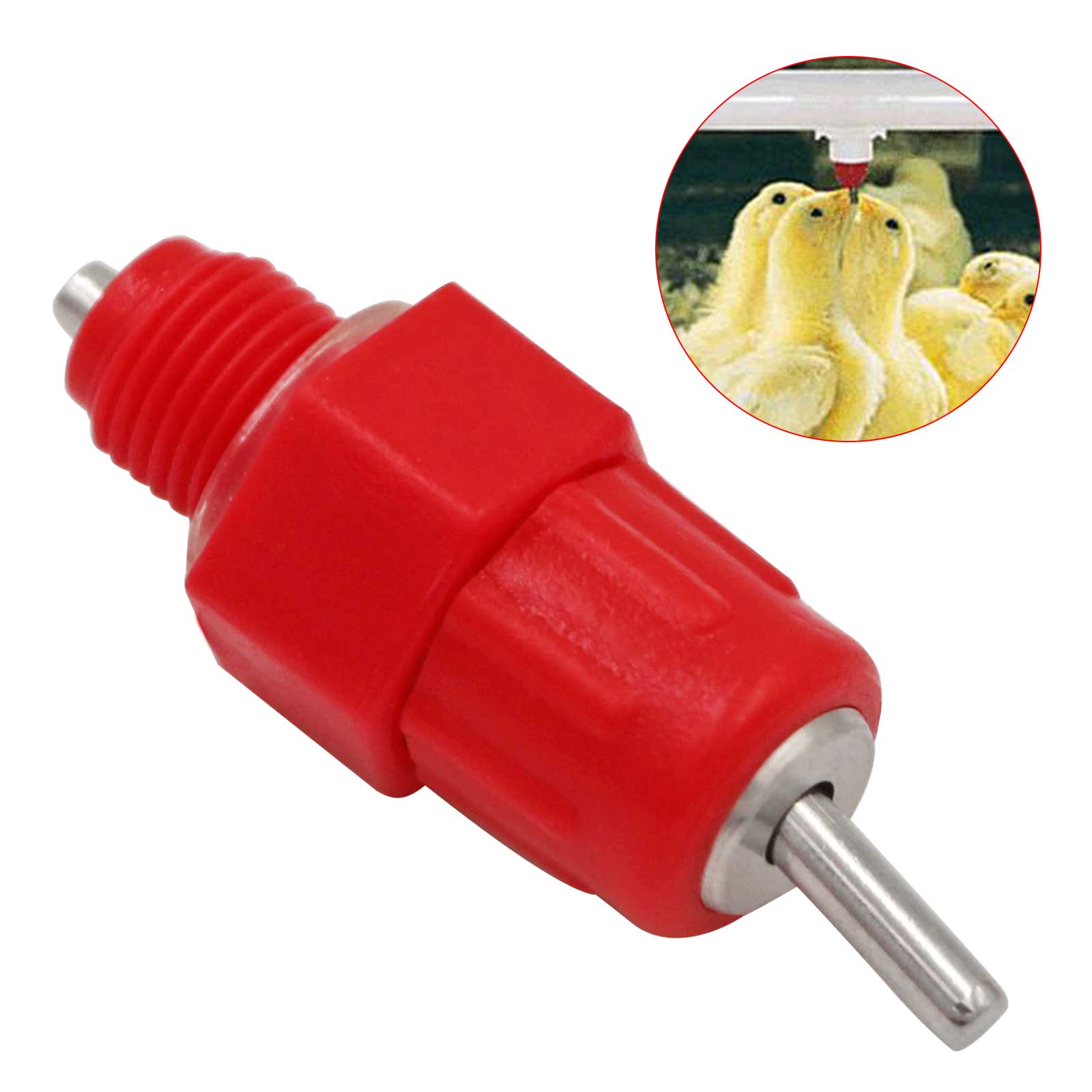 Abreuvoir automatique pour volaille, 60 pièces, mamelon de poulet, gobelets d&#39;eau avec Type de ressort, bouche de fontaine, équipement d&#39;élevage de volaille