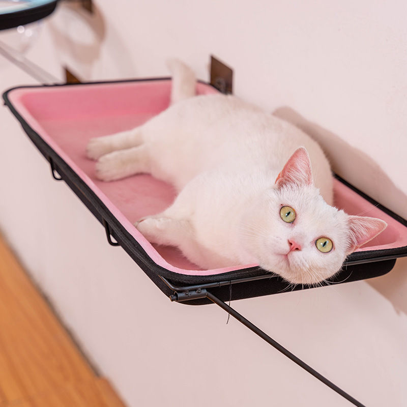 Saugnapf Katze Hängematte Hängen Glas Katze Nest Vier Jahreszeiten Universal Fenster Sill Nest Pet Liefert Saug Wand Raum Kapsel: Square Suction Cup / Gray