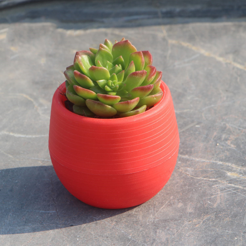 6 -farve mini-urtepotter indendørs have til kontordekoration eller sukkulente planter desktop-urtepotter hjemmetilbehør: Rød