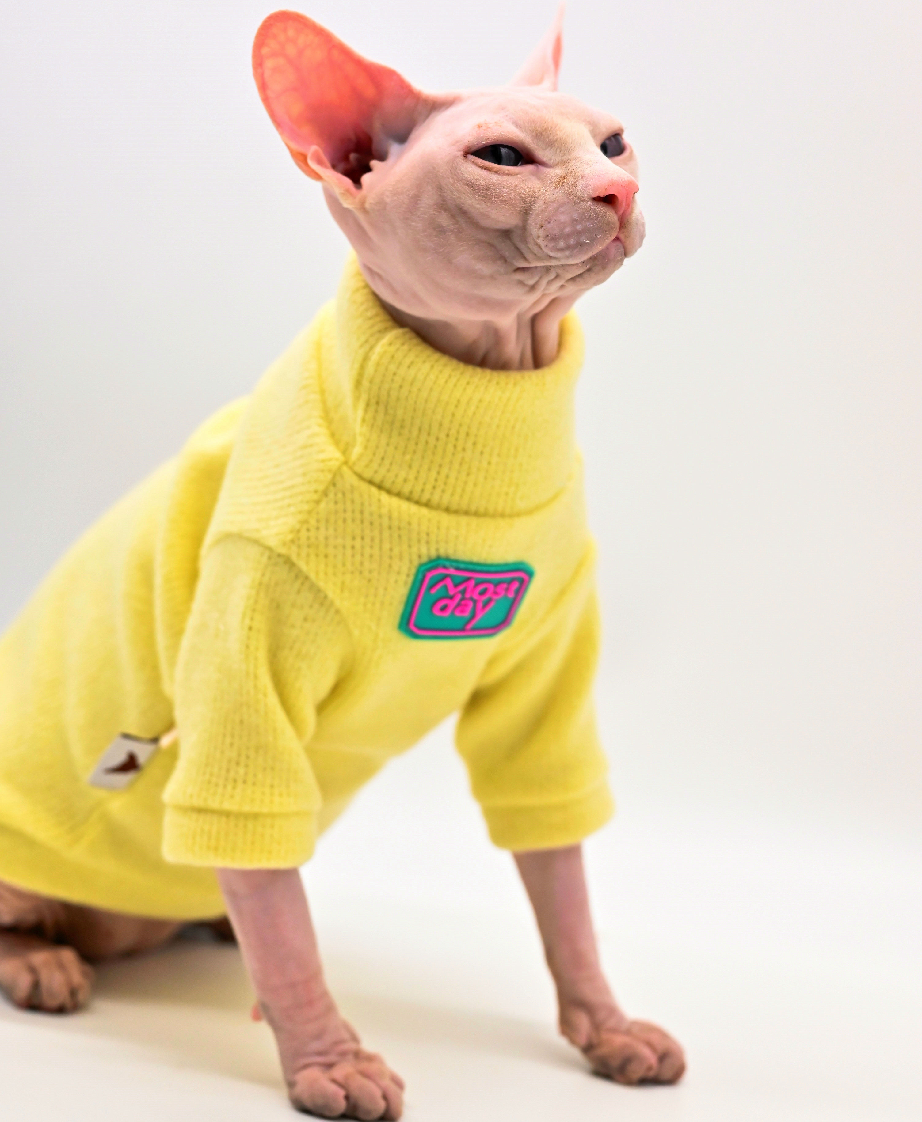 DUOMASUMI Devon Sweater Sphynx Cat Clothes Kitty Soft and Comfort Winter Hairless Cat Clothes