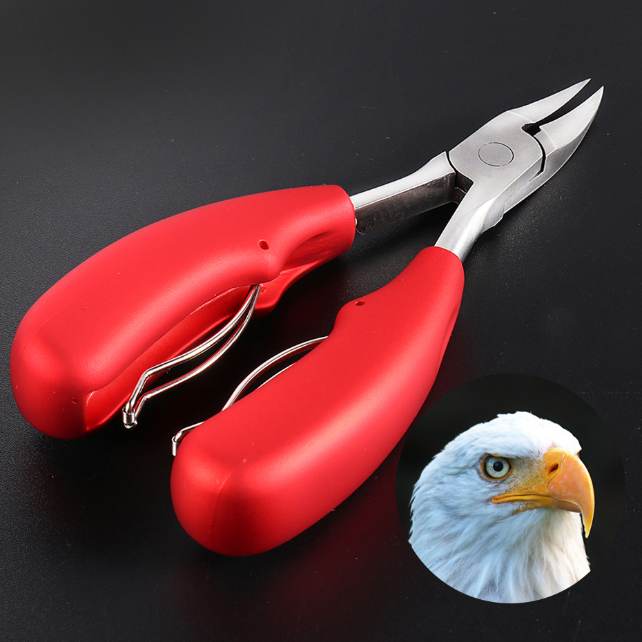 Coupe-ongles en forme de bec d&#39;aigle, pour pédicure, pince à ongles incarnés, Paronychia, ciseaux, outils de manucure, PPQ1-23