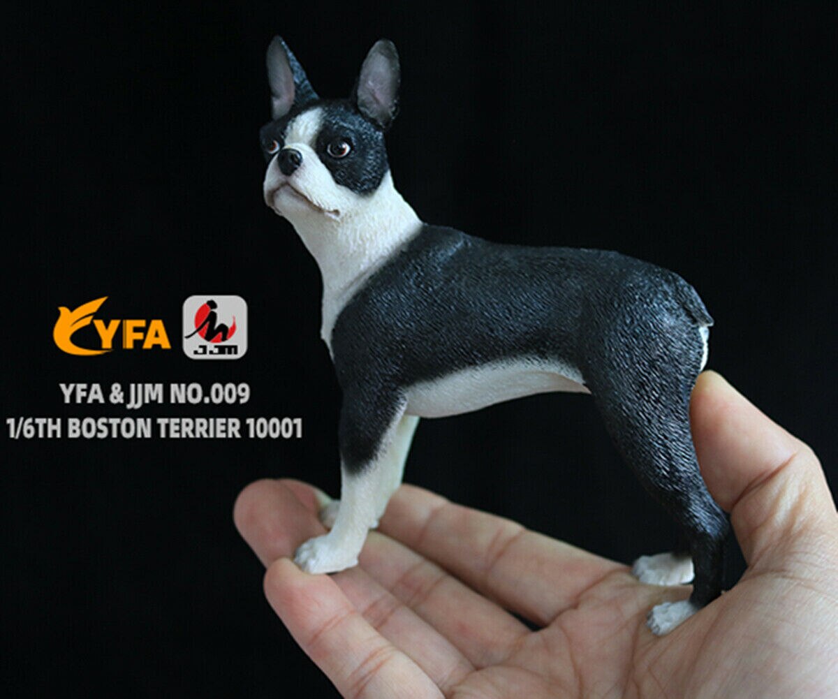 JJM-figura para mascotas de perros Boston terrier, juguete para de PVC, juguete para educativo para niños, escala 1/6: Default Title