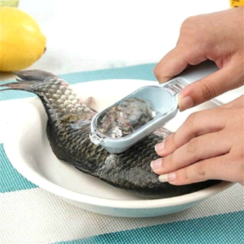 Épluchage de la peau de poisson | Gadget de cuisine, balance à poisson, brosse outil de pêche, accessoires éplucheur peau de poisson nettoyage rapide