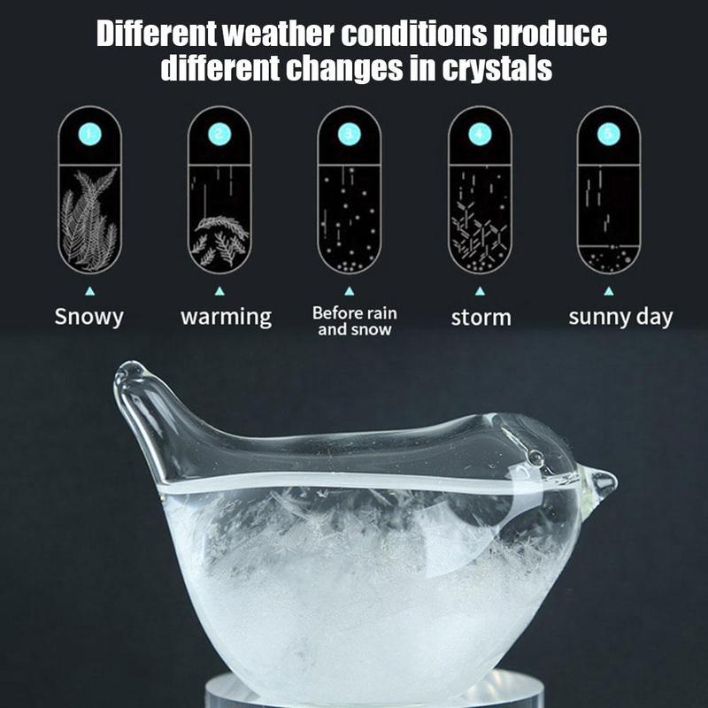 Transparent Crystal Storm Glass Bottle Barometer Desktop Forecast Weather Weather Water Bottles Station Elegan Y9B3