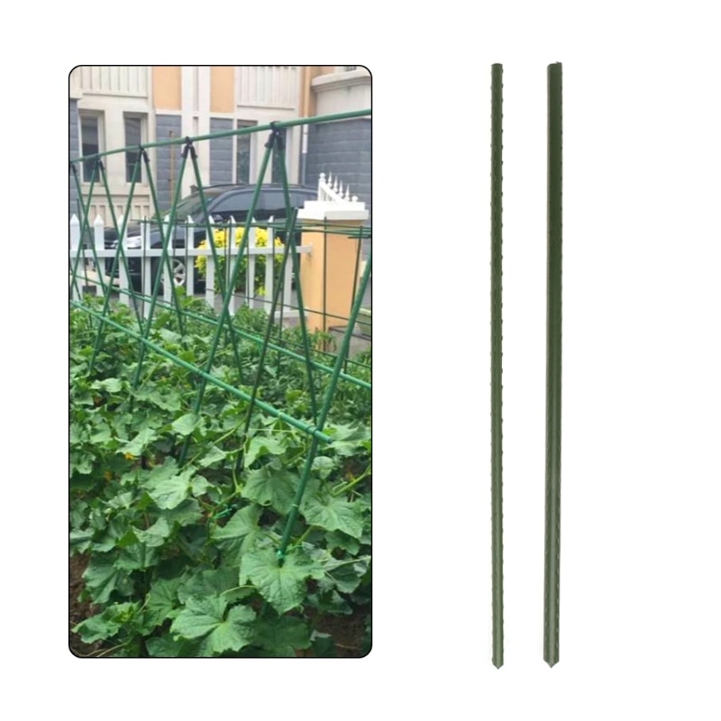 60cm haven plante støtte indsatser klatring stå blomst pind sukkerrør havearbejde værktøj