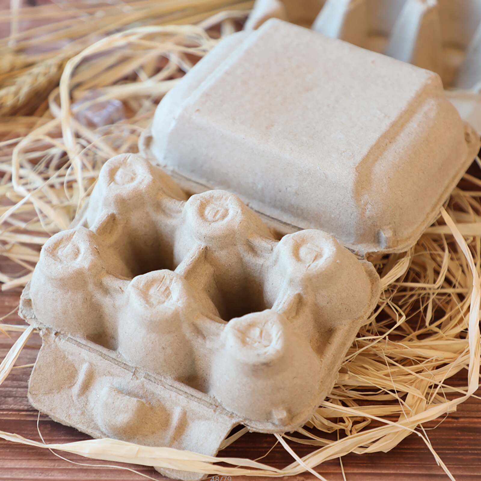 Pulp Egg Tray With Buckle Paper Eggs Cartons Reusable Eggs Cartons For Storing Fresh Pasture Raised Eggs Anti-Collision c50