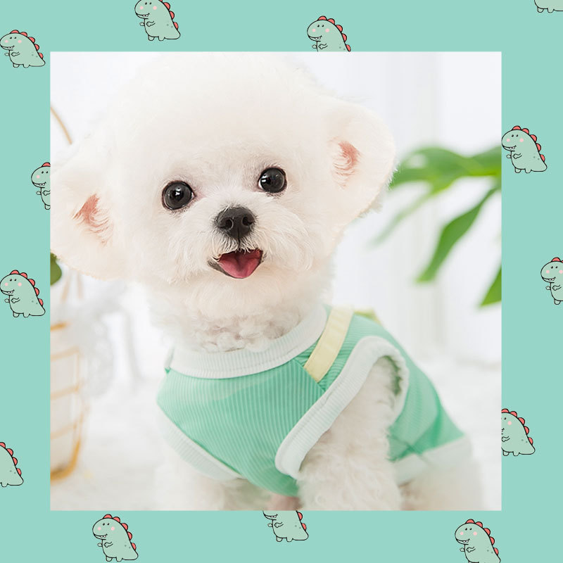 Zomer Hond Vest Zweet Doek Dunne Ademende Pet Vest Kleine En Middelgrote Huisdier Shirt Teddy Chihuahua Hond Shirts voor Honden