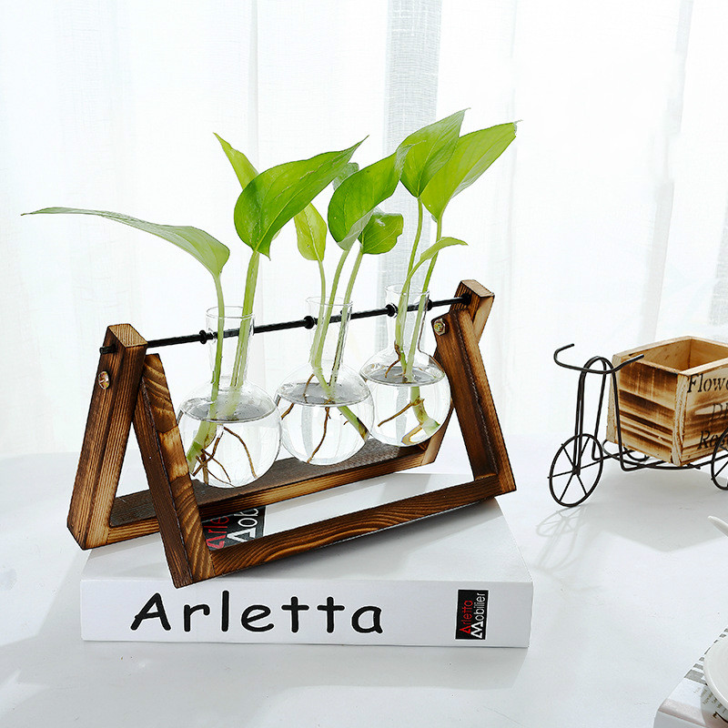 Terrarium hydrocultuur plant transparante vaas houten frame vaas decoratie glazen tafelplant bonsai decoratie bloemenvaas