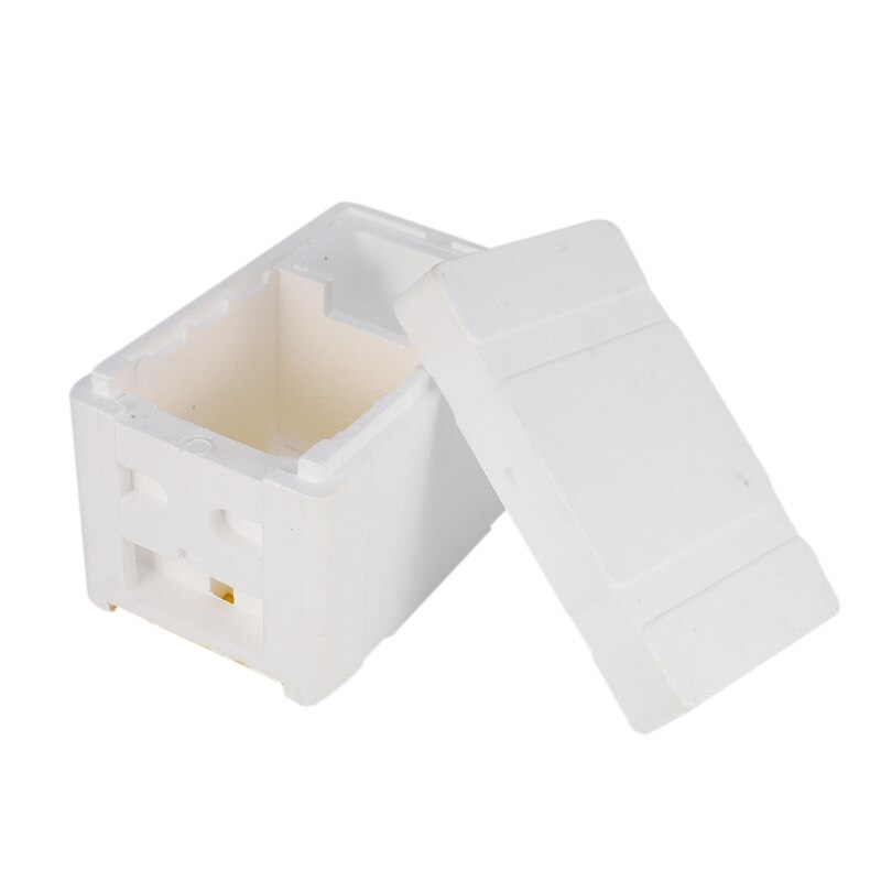 Bee Hive Beekeeping King Box Pollination Box Foam Frames Beekeeping Tool Kit