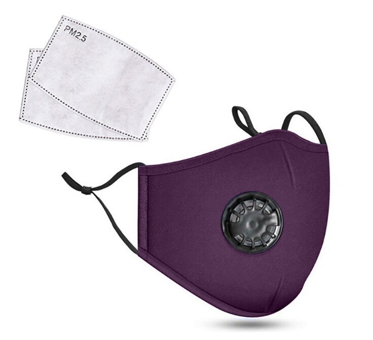 Masque facial avec filtre PM2.5, bavette buccale, bavette lavable, réutilisable, Protection faciale, Anti-salive, projections, pm2, 5: Purple 2 filters