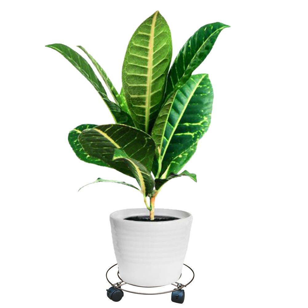 Heavy Duty Plant Pot Caddy Metal Plant Trolley Rolling Plant Dolly for Outdoor or Indoor Plant Tray with Wheels Flower Pot Rack